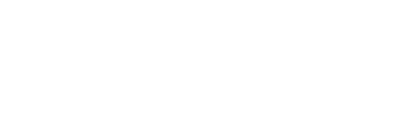 Vanekz. International